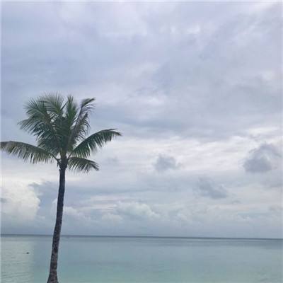 傲剑诀满v版下载