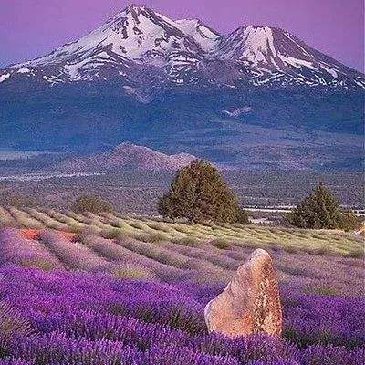 我在玄幻世界当鬼差免费版